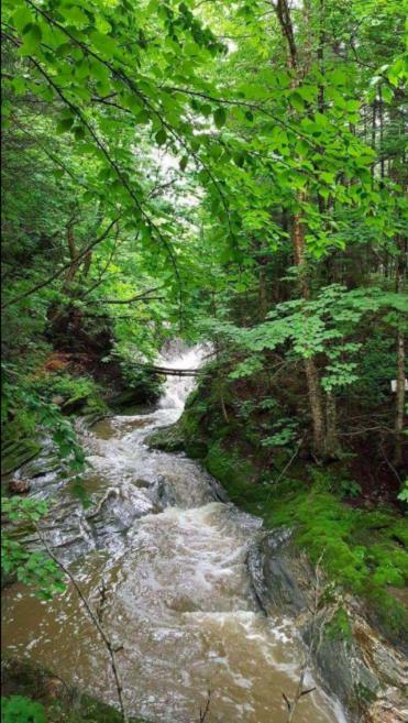 La Spacieuse Riverstone Citq3O1849 Saint Pierre de Broughton Luaran gambar